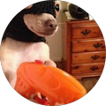 Gloria La Spina Avatar