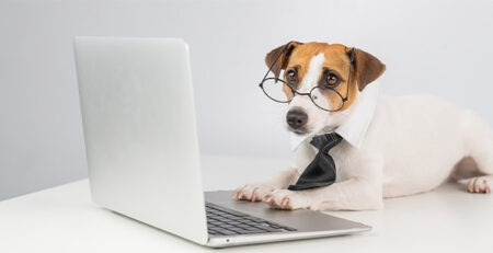 Cani in ufficio: regole di condotta | Clinica La Veterinaria