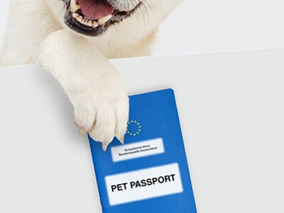 Pet passport | Clinica La Veterinaria