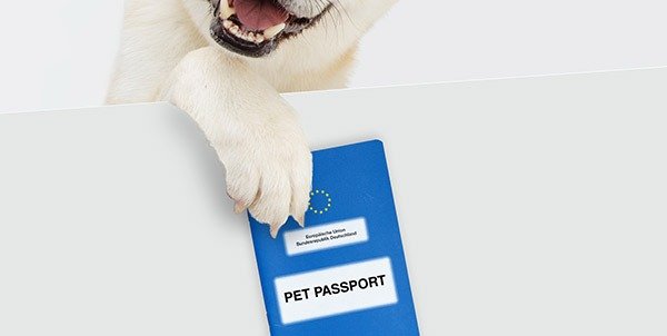Pet passport | Clinica La Veterinaria