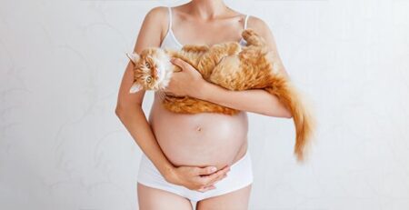 Toxoplasmosi in gravidanza e gatti | Clinica La Veterinaria