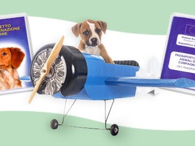 passaporto europeo cani gatti furetti