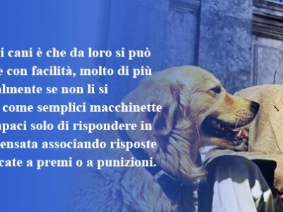 la mente degli animali la bella zoologia di danilo mainardi