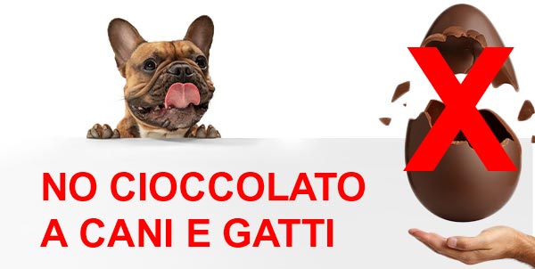 Cioccolato e alimenti tossici per cani e gatti | Clinica La Veterinaria