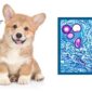 Coccidi e coccidiosi nei cani e nei gatti | Clinica La Veterinaria