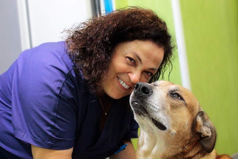 Dr. Caterina Santonocito, medical director of the veterinary clinic