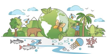 Día Mundial de la Biodiversidad | Clínica La Veterinaria