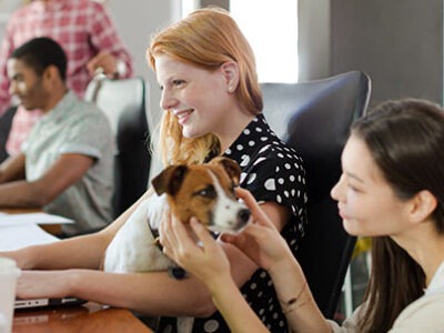 Dog in the office | The Veterinary Clinic