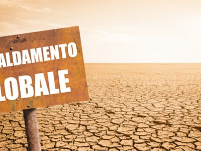 World Wildlife Conservation Day | La Veterinaria Clinic