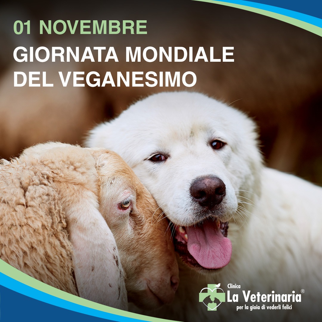 Giornata mondiale del veganesimo Clinica La Veterinaria