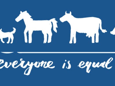 World Animal Rights Day | La Veterinaria Clinic