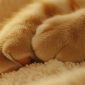 I gatti fanno la pasta con le zampe | Clinica La Veterinaria