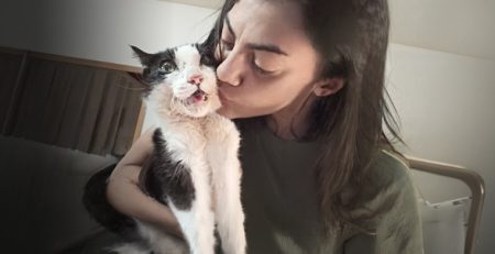 Traballino y Mamma Flavia | Clínica La Veterinaria